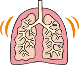 COPD(慢性閉塞性肺疾患)とは、気道や肺の細胞などが壊れることによって、肺の機能が悪くなり、スムーズに呼吸ができなくなる病気です。
