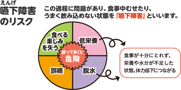 この過程に問題があり、食事中むせたり、うまく飲み込めない状態を「嚥下障害」といいます。