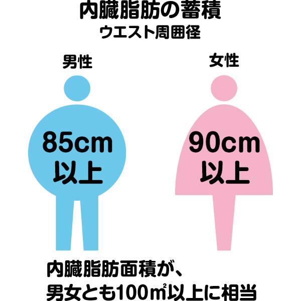 男性は85cm以上、女性は90cm以上がメタボの可能性