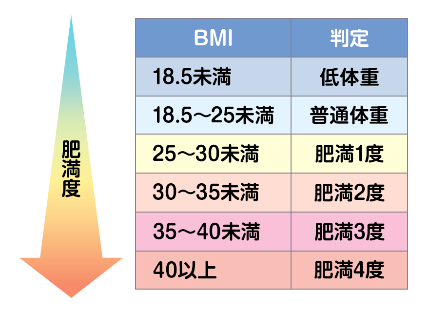 BMIによる肥満度