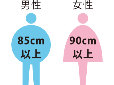 男性は85cm以上、女性は90cm以上がメタボの可能性