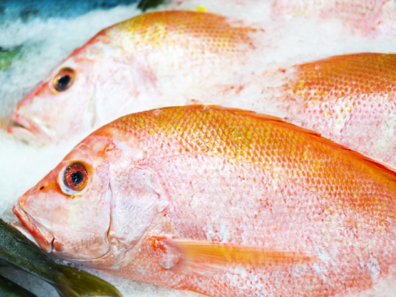 骨を取り除いた口当たりの良い魚肉
